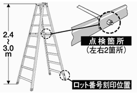 写真・図