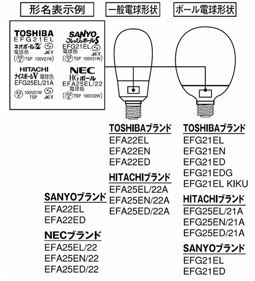 写真・図