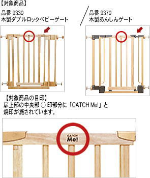 写真・図