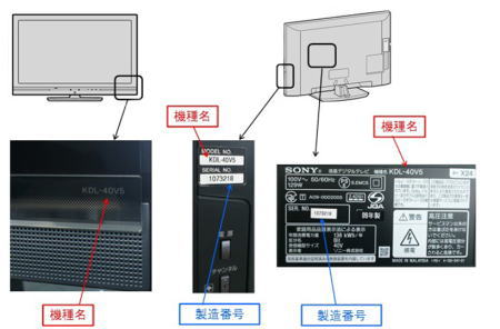 写真・図