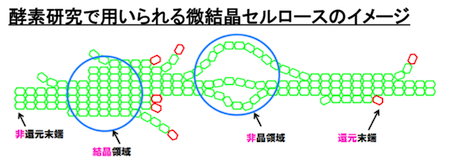 画像:リグノセルロース糖化における前処理の重要性2