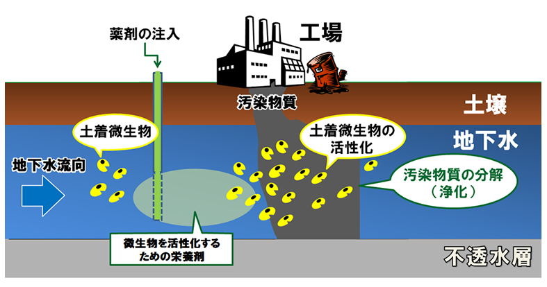 バイオレメディエーションの流れ