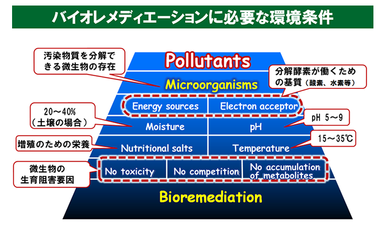 バイオレメディエーション必要条件