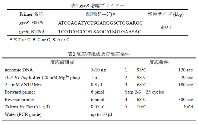 表1gyrB増幅プライマー 表2反応液組成及反応条件