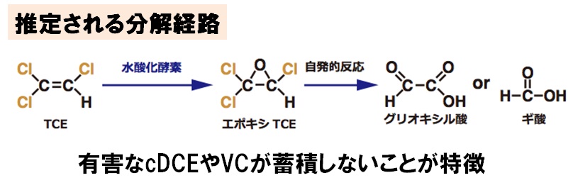 好気性トリクロロエチレン分解菌分解経路