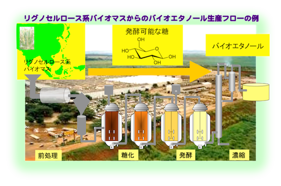 画像:リグノセルロース系バイオマスの酵素糖化