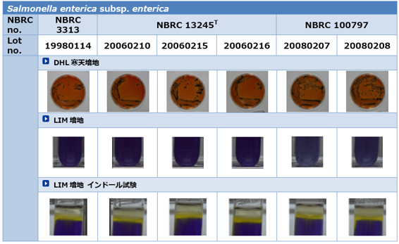 食品衛生検査指針に基づく性状試験結果 Salmonella enterica