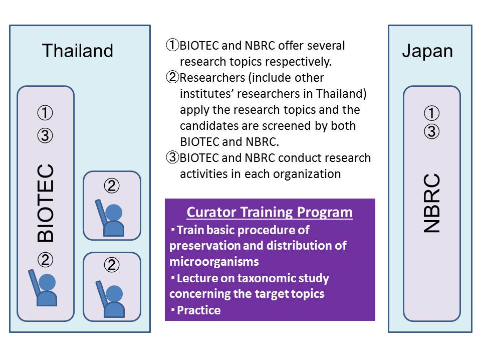 A schematic diagram of the curator course program