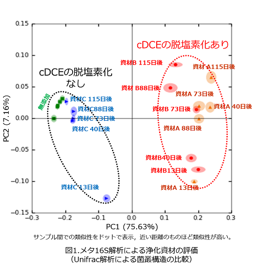 主座標解析（PCoA解析）の図