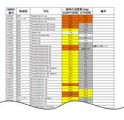 ラビリンチュラ菌株の10 mL 液体培地での7 日間培養後の菌体量