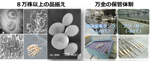 8万株以上の品揃え、万全の保管体制