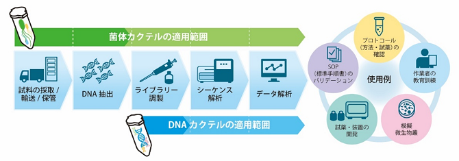 マイクロバイオーム分析工程と微生物カクテルの使用例