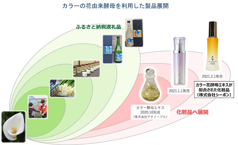 カラーの花由来酵母を利用した製品展開を示した図