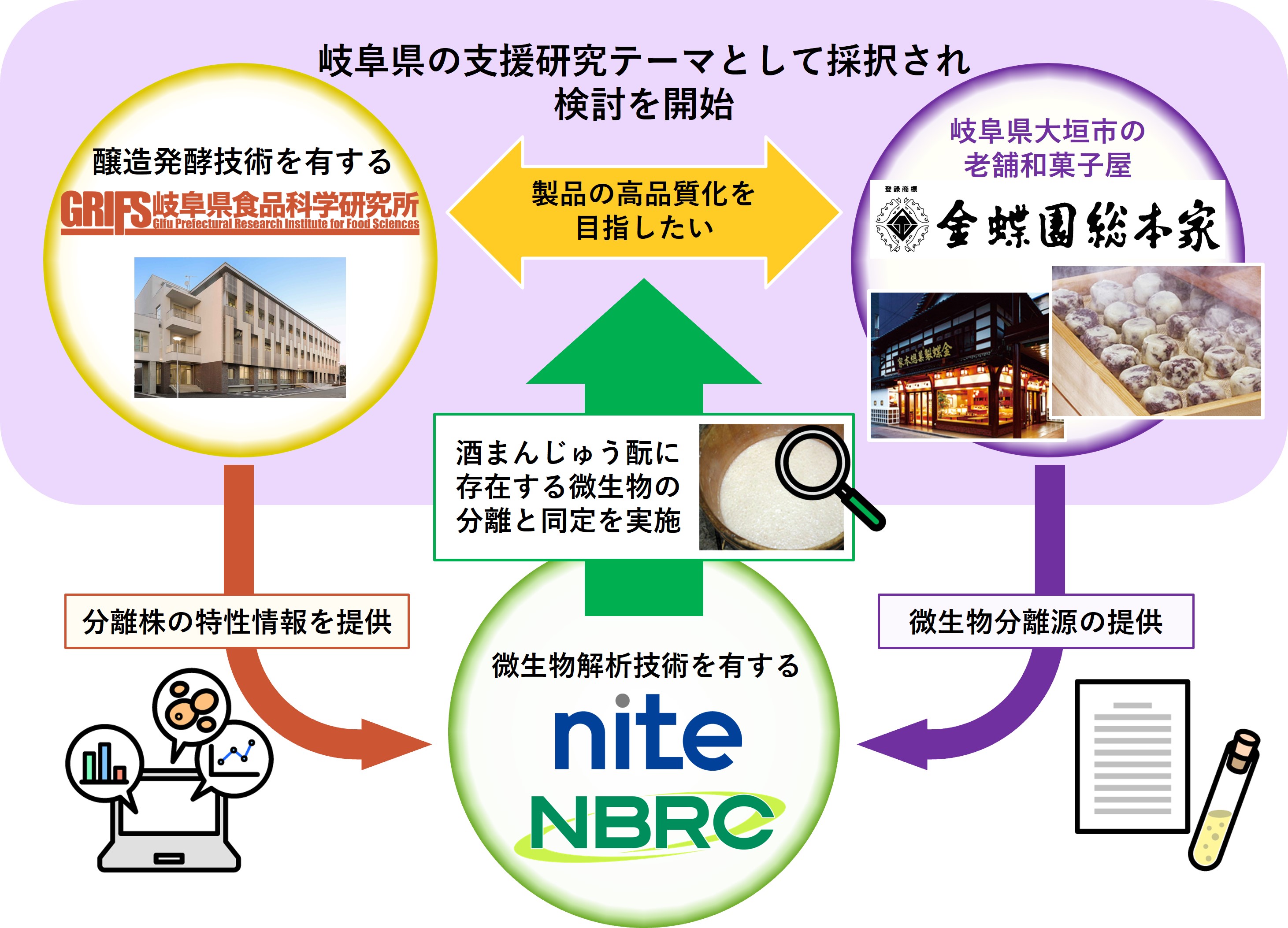 ナイト、岐阜県食品科学研究所、金蝶園総本家の役割分担を示した図