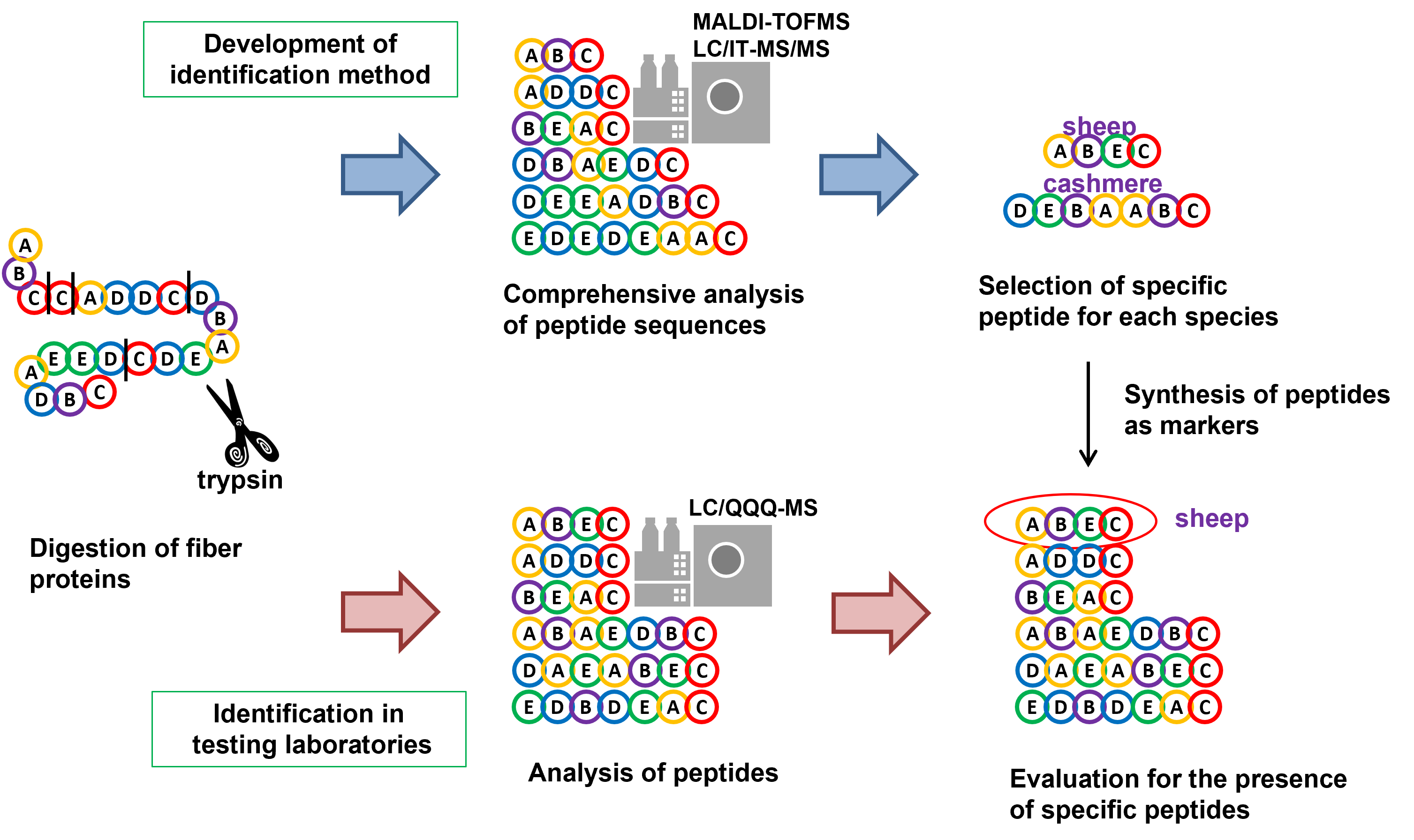 Flowchart to develop the identification method.