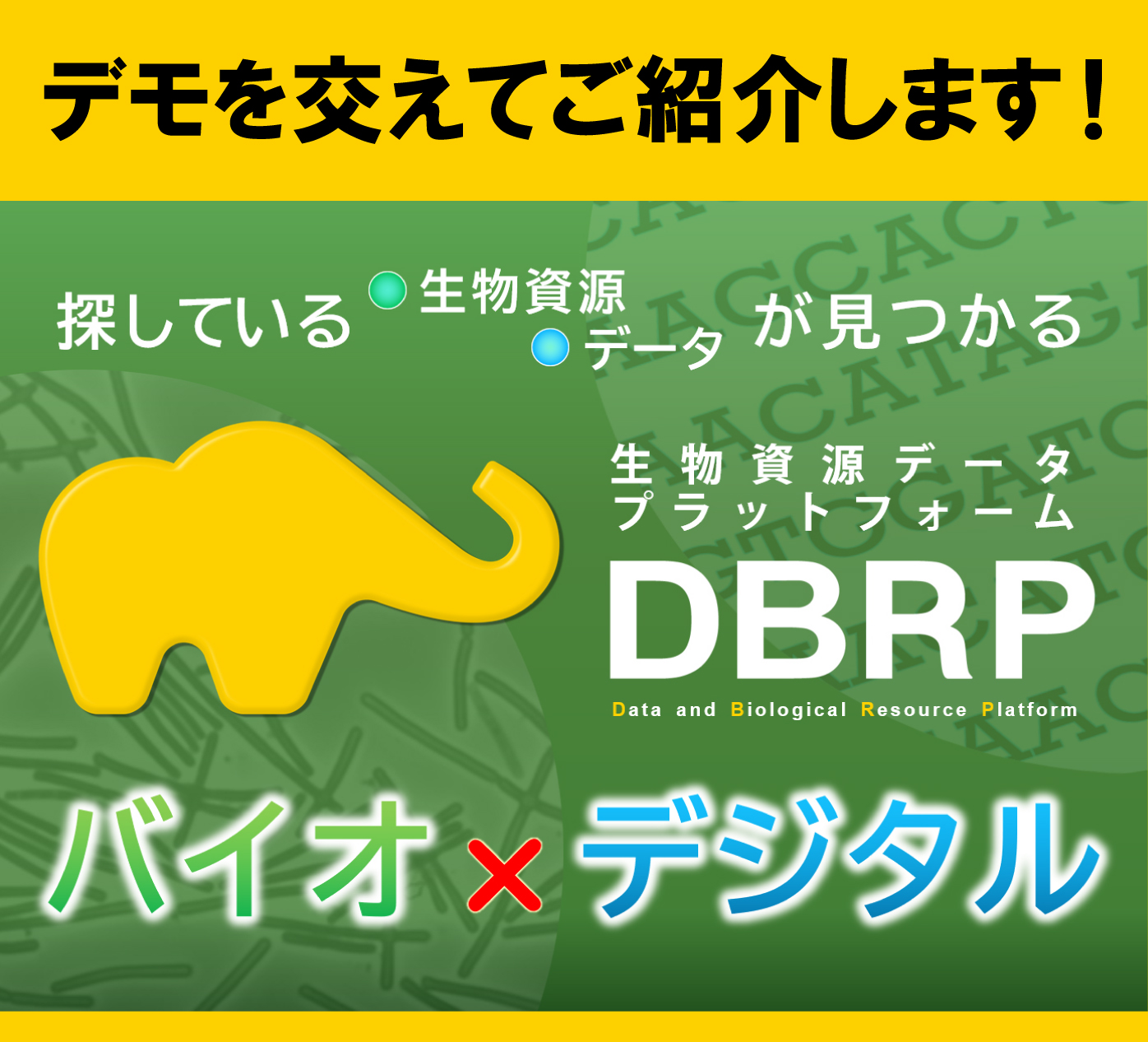 DBRPのデモのご紹介告知の画像です