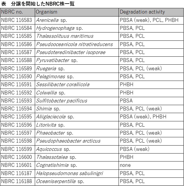 分譲を開始したNBRC株一覧