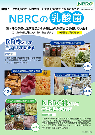 NBRCの乳酸菌チラシの画像です