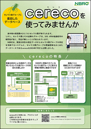 cerecoのチラシです