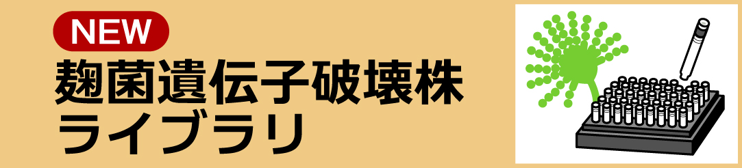 麹菌菌遺伝子破壊株ページへのリンク。　分譲の手続き等をご案内しています。